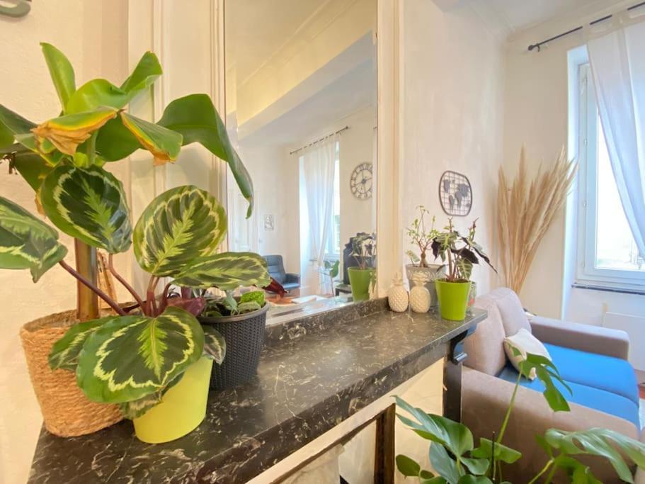 Le Jardin Secret De Nady Apartment Carcassonne Exterior foto